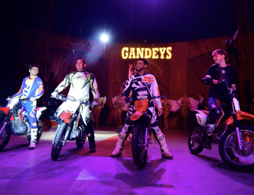 Discovering the Vibrant World of Gandeys Circus Art