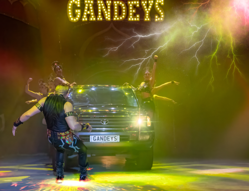 The World of Circus Performers