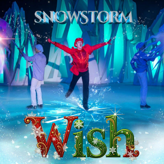 manchester circus christmas show