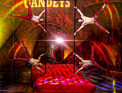 Do Circuses Still Use Animals?