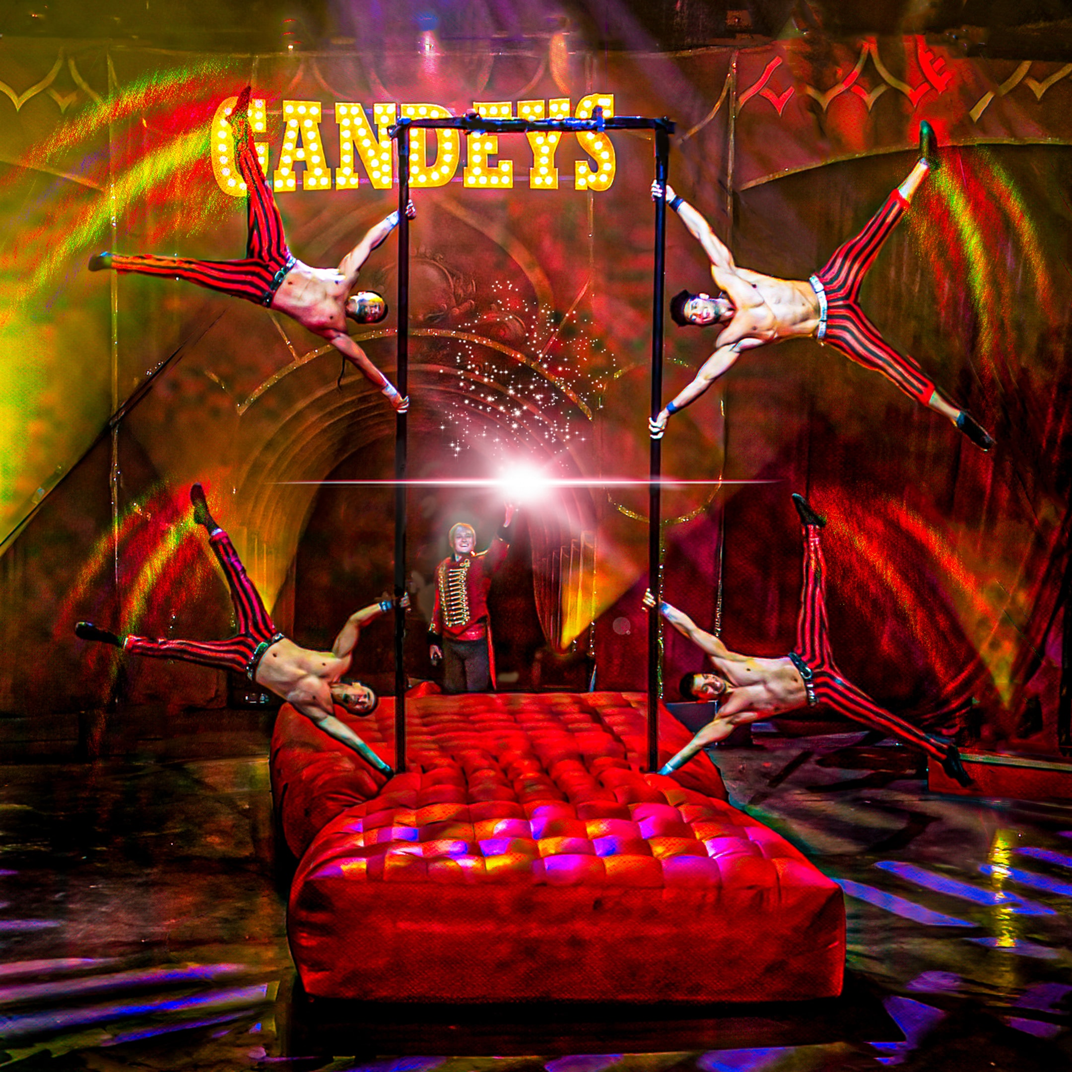 Do Circuses Still Use Animals?