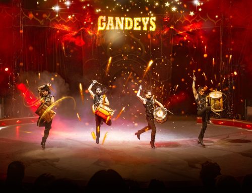 What To Expect At Your First Gandeys Circus Show