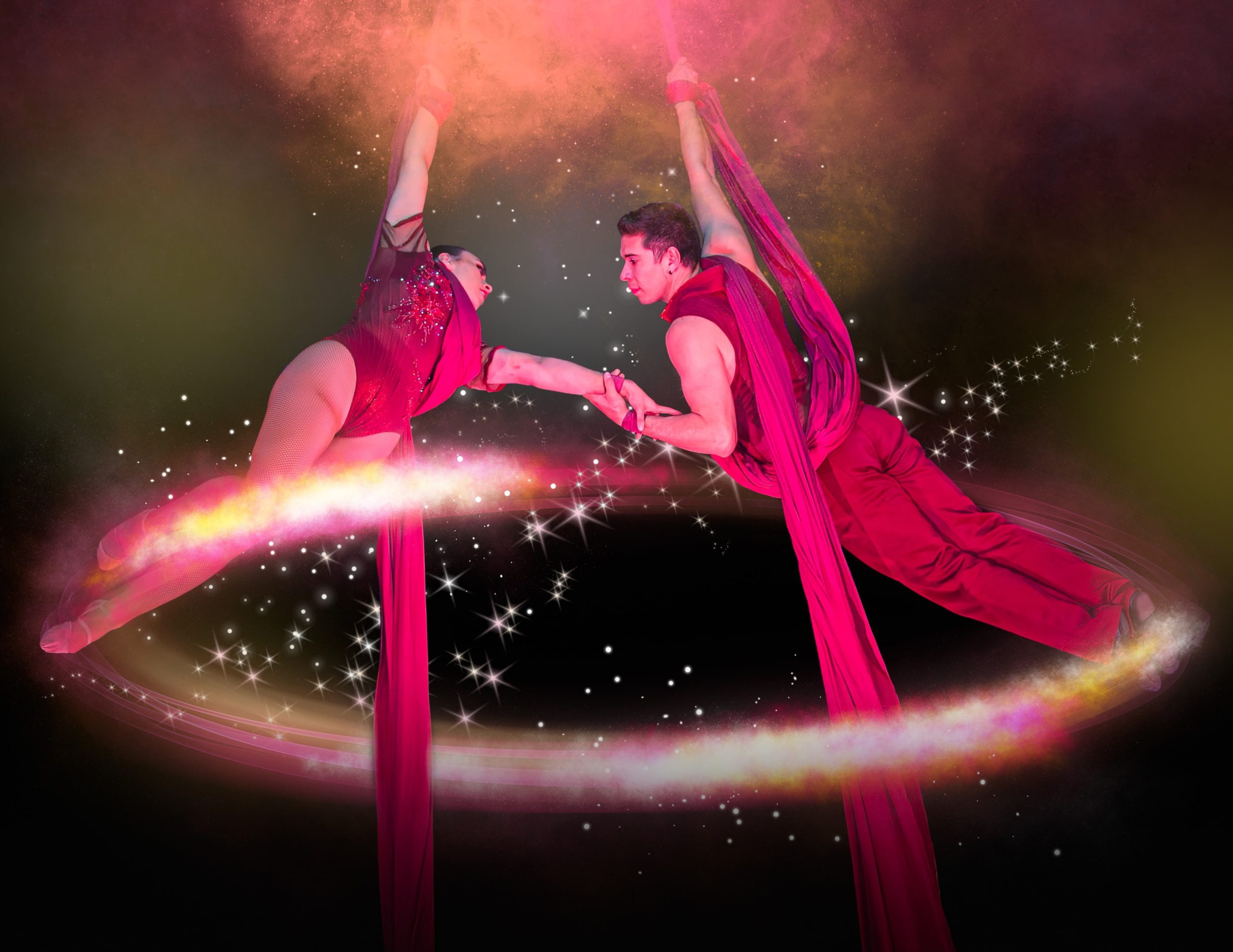 Do Circuses Still Use Animals?