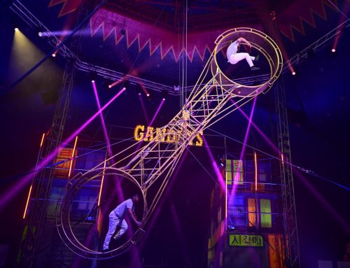 Why Circus Is One of the Best Value Family Days Out