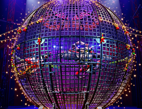 What’s On in London: Shows, Events and Family Days Out This Winter